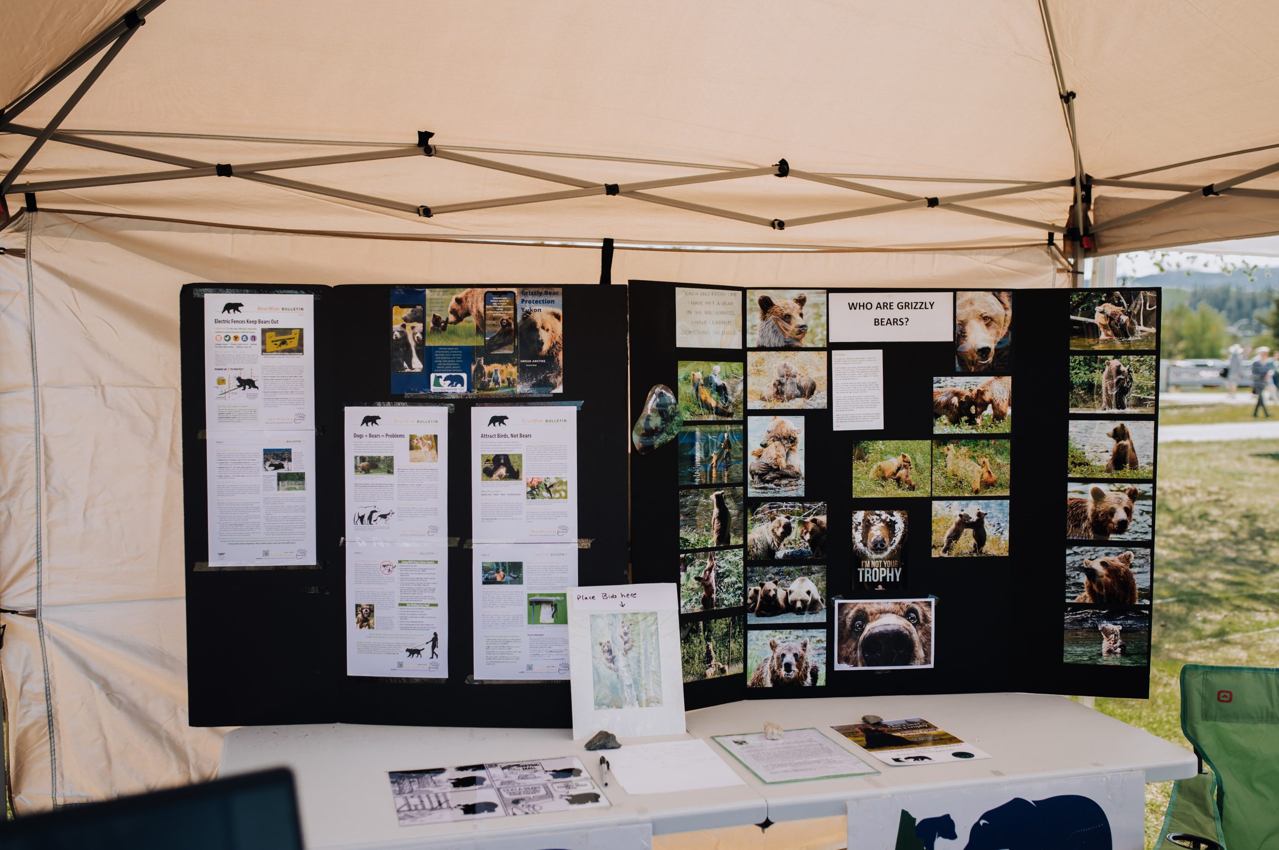 Community groups & resources