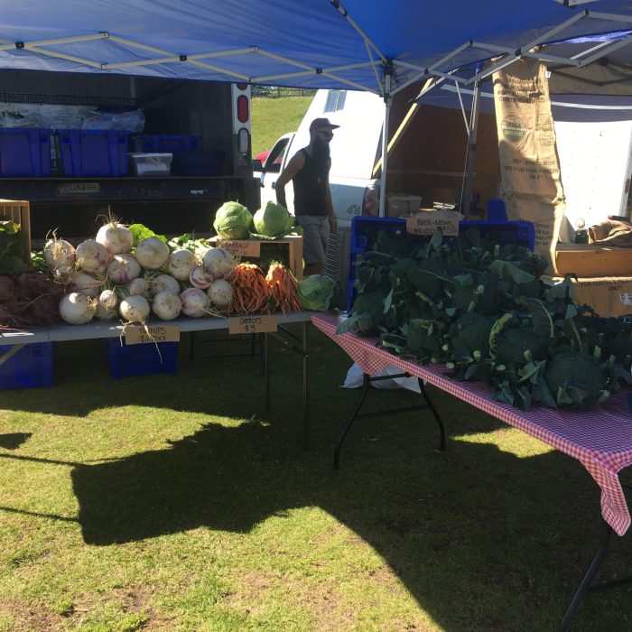 Sandpit Veggies