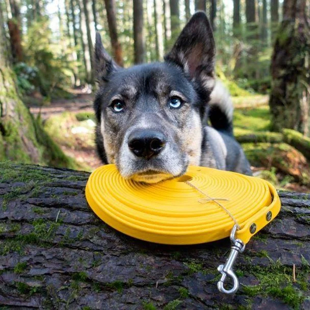 Pet products