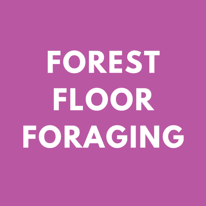 Forest Floor Foraging