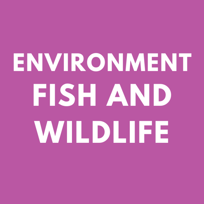 Environment Fish and Wildlife